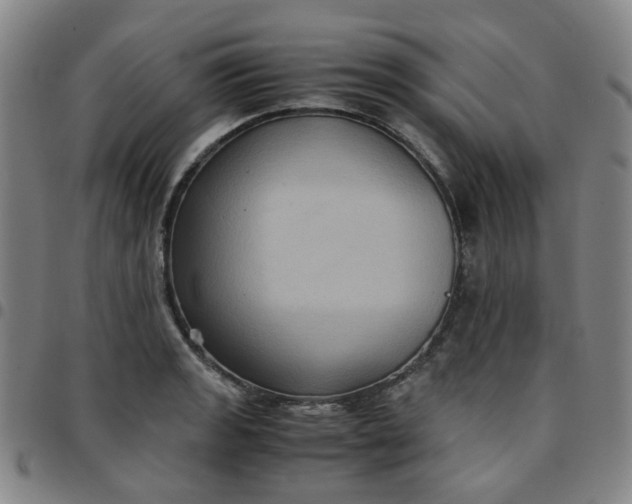 X0000097481133200803071710