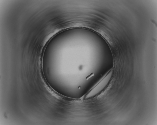 X0000097481134200803071710