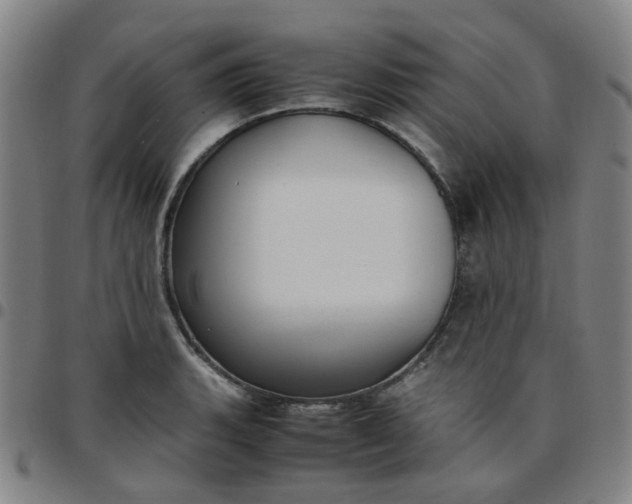 X0000097481135200803071710