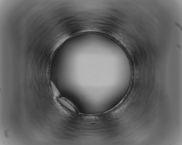 X0000097481137200803071710