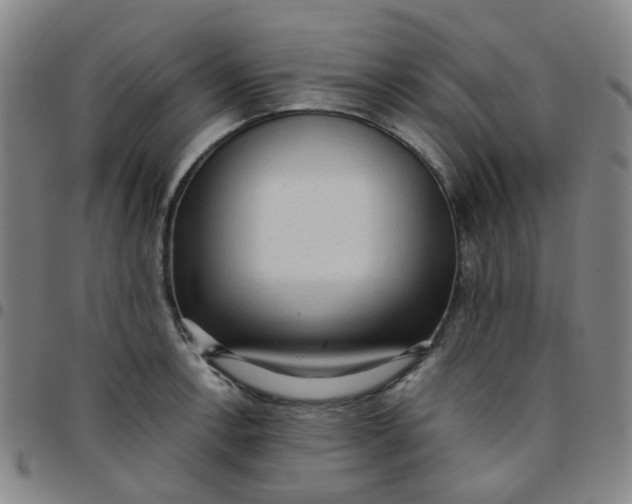 X0000097481138200803071710