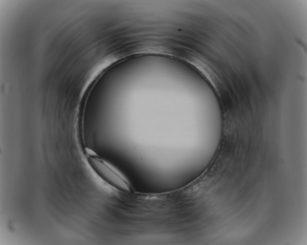 X0000097481139200803071710