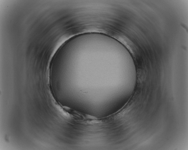 X0000097481140200803071710