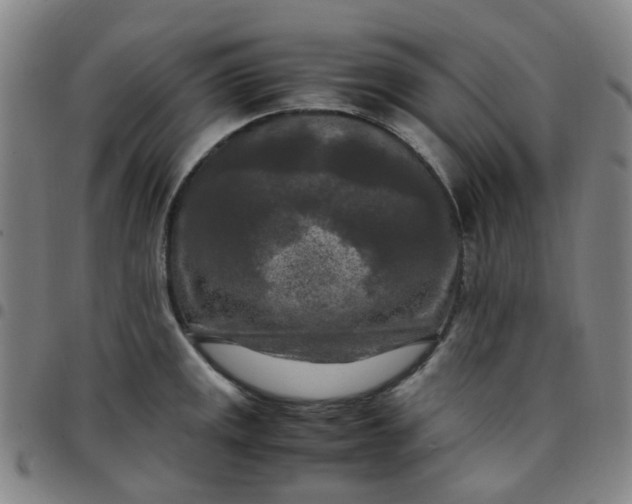 X0000097481141200803071710