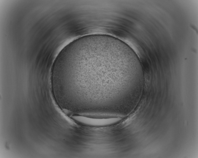 X0000097481142200803071710