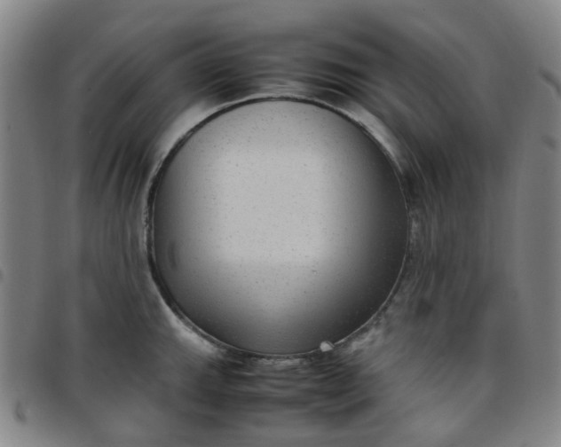 X0000097481143200803071710