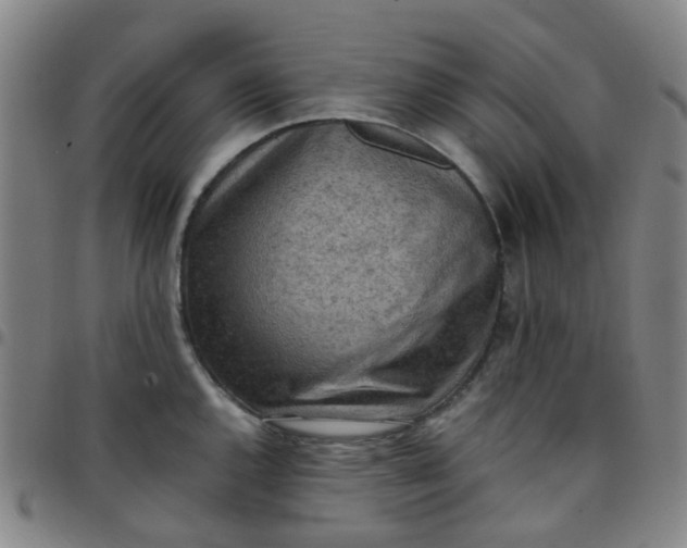 X0000097481144200803071710