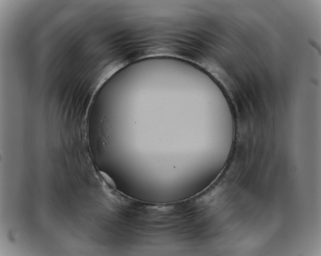 X0000097481145200803071710