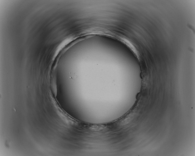 X0000097481146200803071710