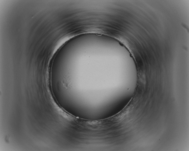 X0000097481147200803071710