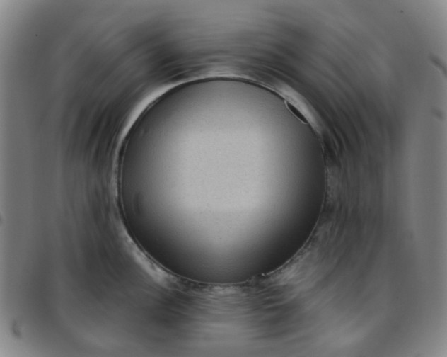 X0000097481148200803071710