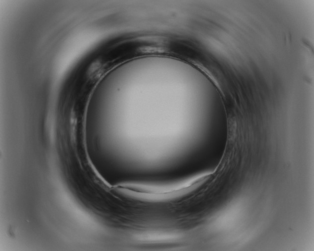 X0000097481151200803071711