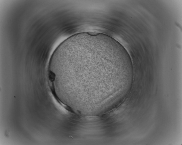 X0000097481152200803071711