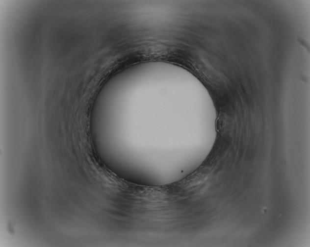 X0000097481153200803071710