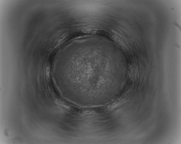 X0000097481154200803071710