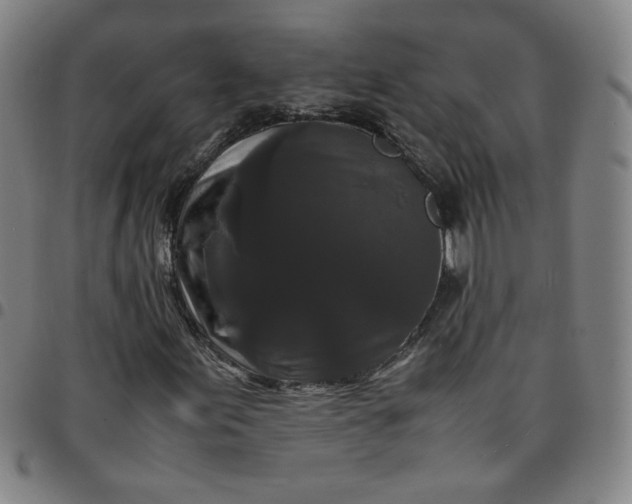 X0000097481155200803071710