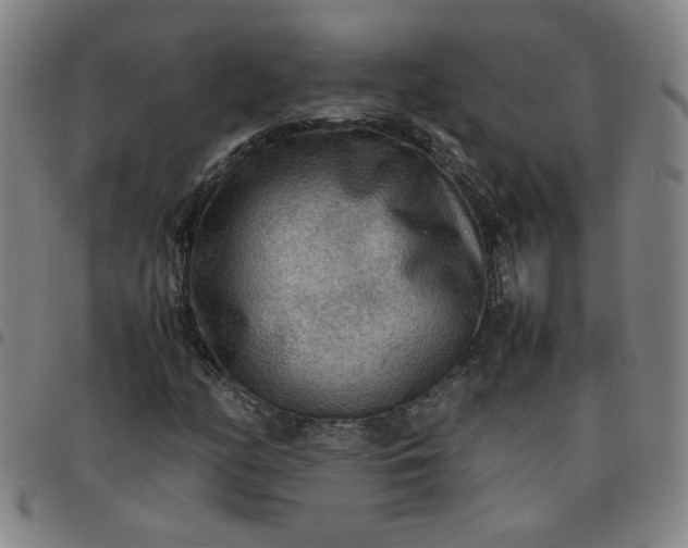 X0000097481158200803071710