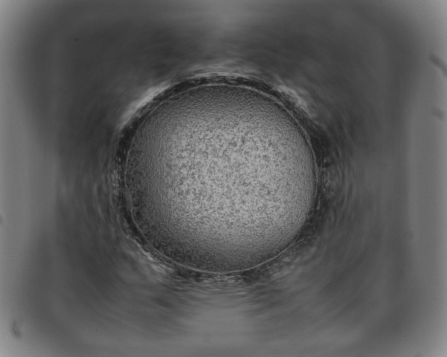 X0000097481159200803071710