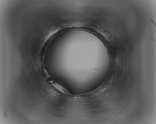 X0000097481160200803071710