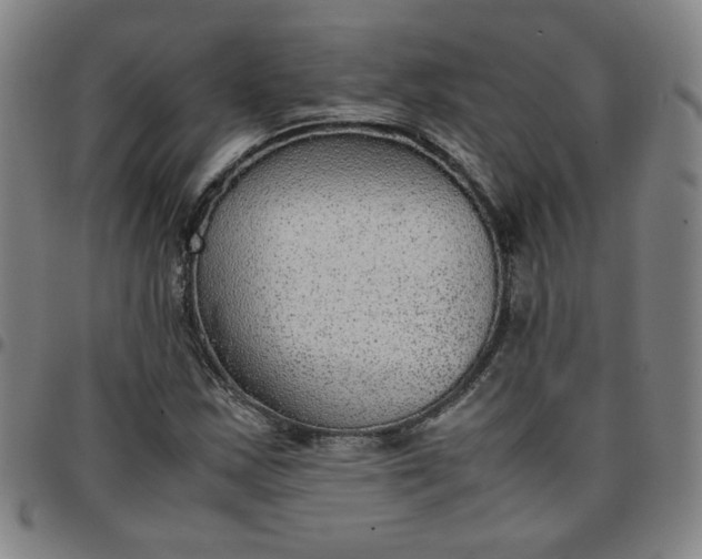 X0000097481163200803071710