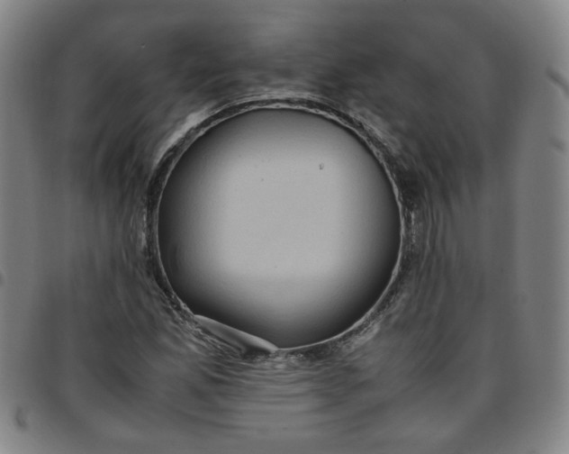 X0000097481165200803071710