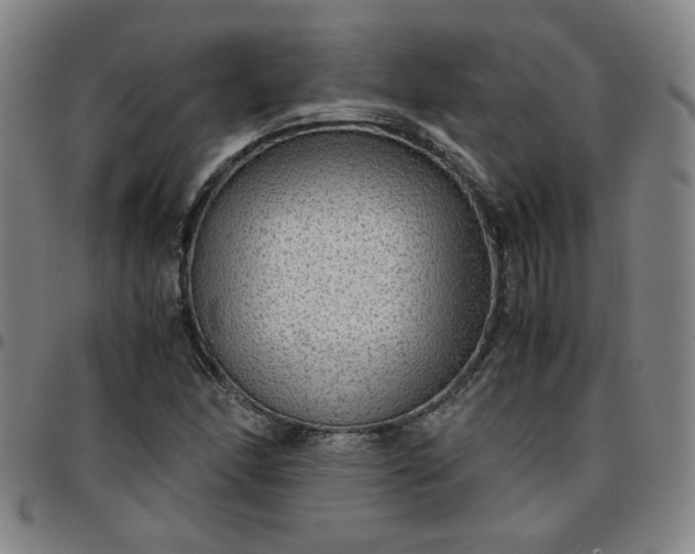 X0000097481166200803071710