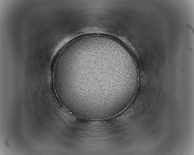 X0000097481167200803071710