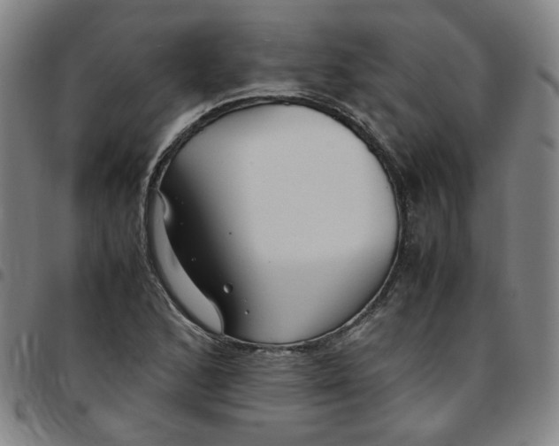 X0000097481168200803071710