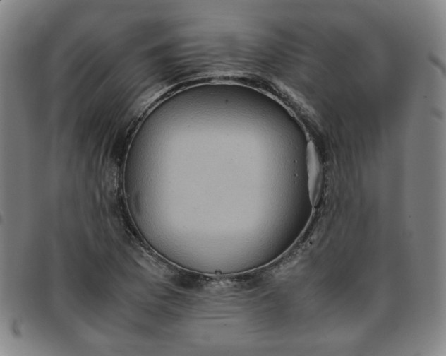 X0000097481169200803071710