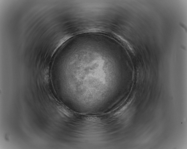 X0000097481170200803071710