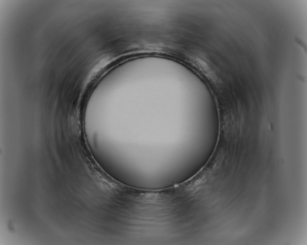 X0000097481172200803071710