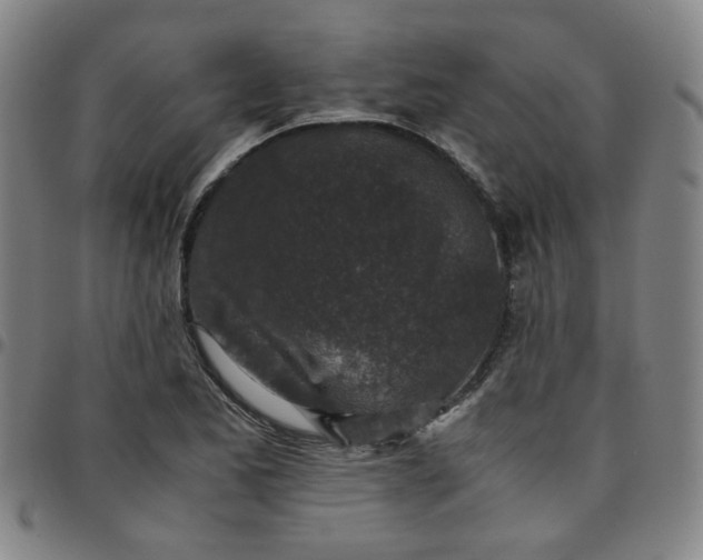 X0000097481173200803071710