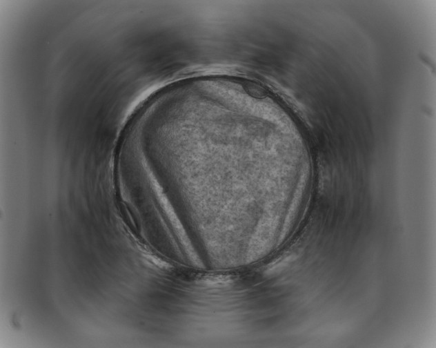 X0000097481174200803071710