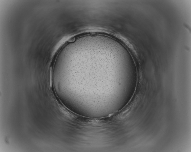 X0000097481175200803071710