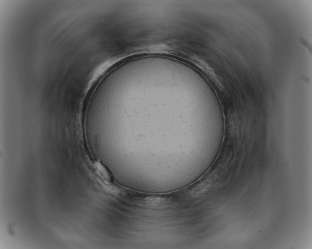 X0000097481176200803071710