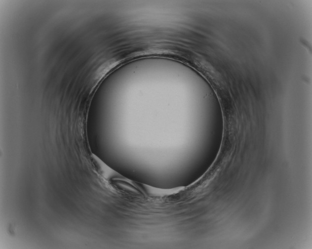 X0000097481177200803071710