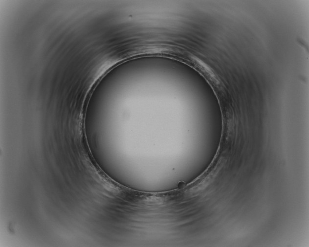 X0000097481178200803071710