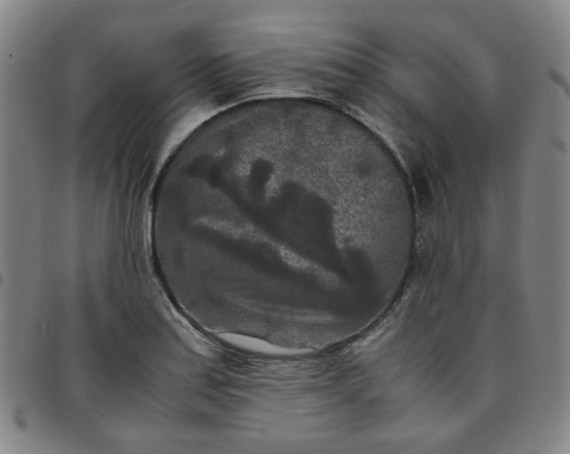 X0000097481179200803071710