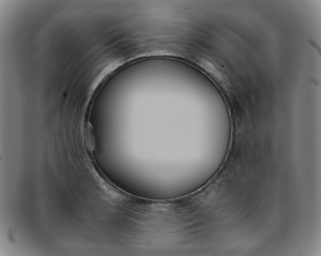 X0000097481181200803071709