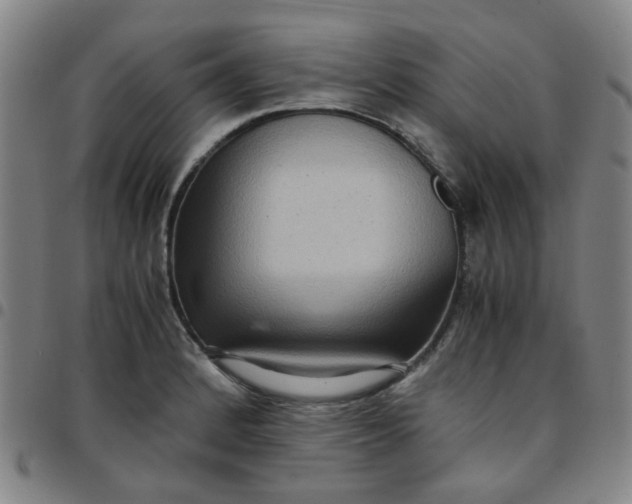 X0000097481184200803071709