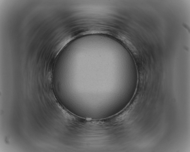 X0000097481185200803071709