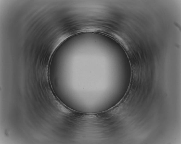 X0000097481186200803071709