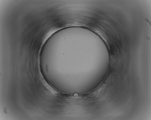 X0000097481187200803071709