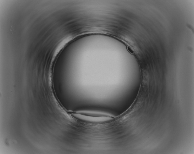 X0000097481188200803071709