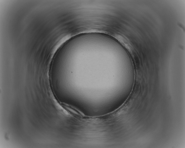 X0000097481189200803071709