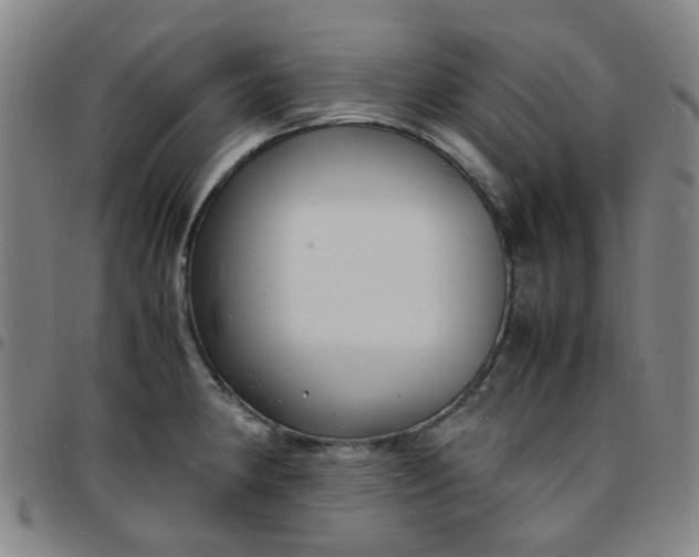 X0000097481190200803071709