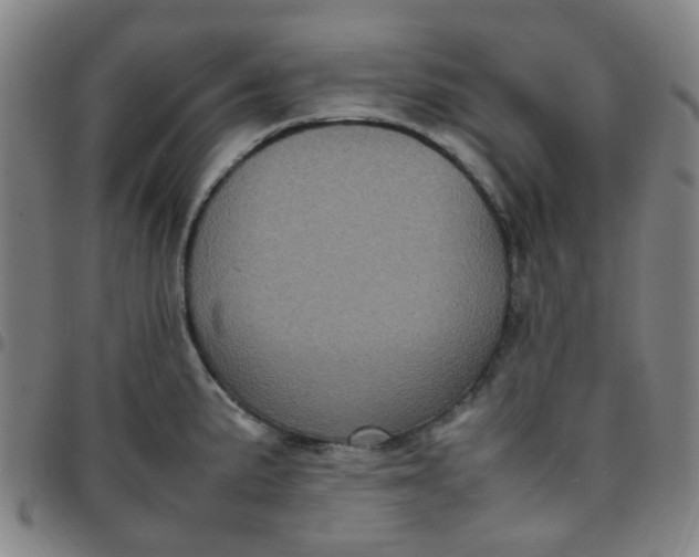 X0000097481191200803071709