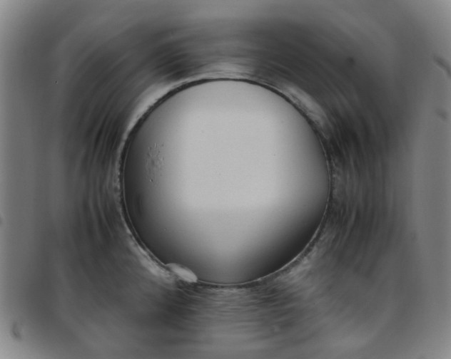 X0000097481192200803071709