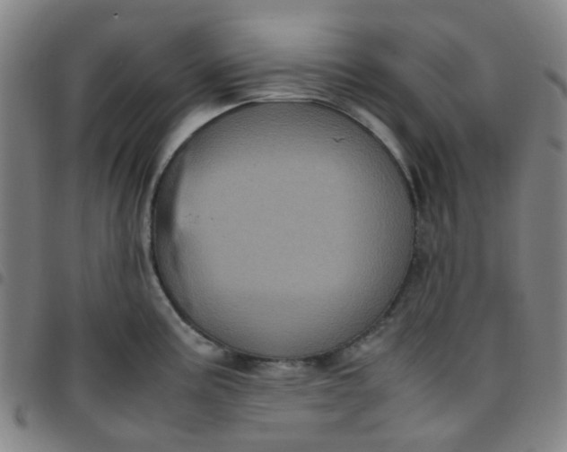 X0000097481195200803071709