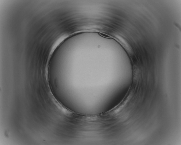 X0000097481196200803071709